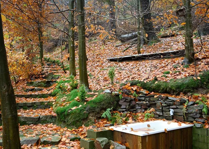 Dom wakacyjny 4 Strony Lasu Golaczow